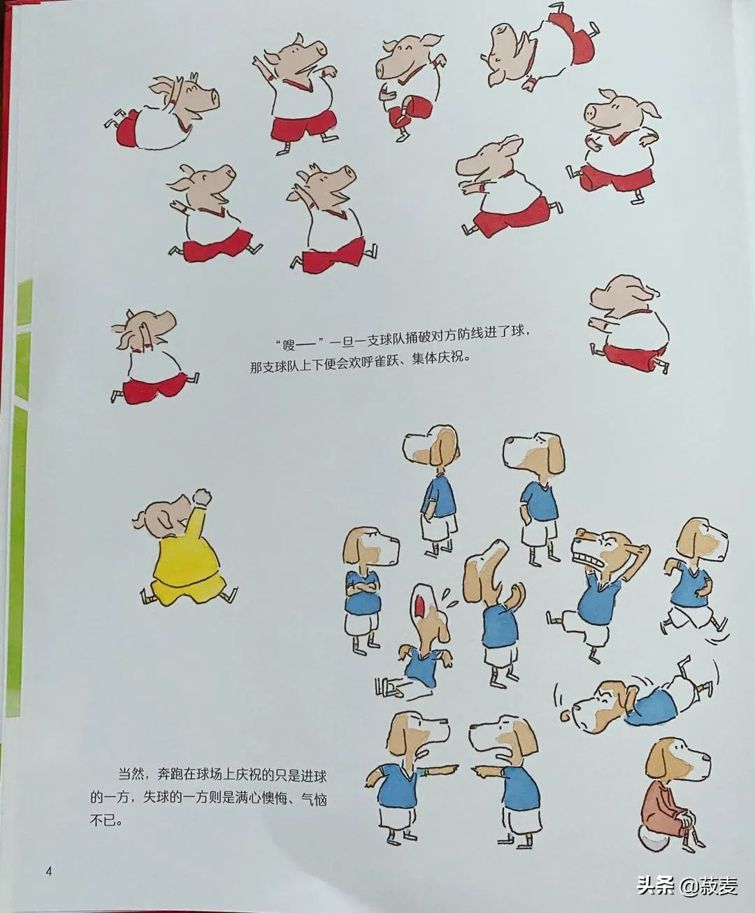 3-6岁运动绘本,儿童运动指南绘本