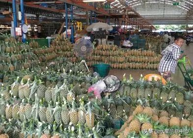 西双版纳水果市场榴莲 (上海亚洲最大的水果批发市场榴莲)