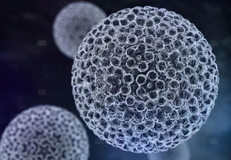 Hi,我是HPV|我知道你很怕我,但你却不知道我也怕你