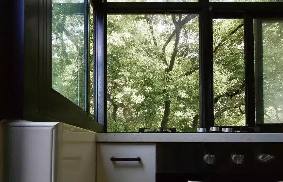 现在国人的审美态度 (中国人的审美变了吗)