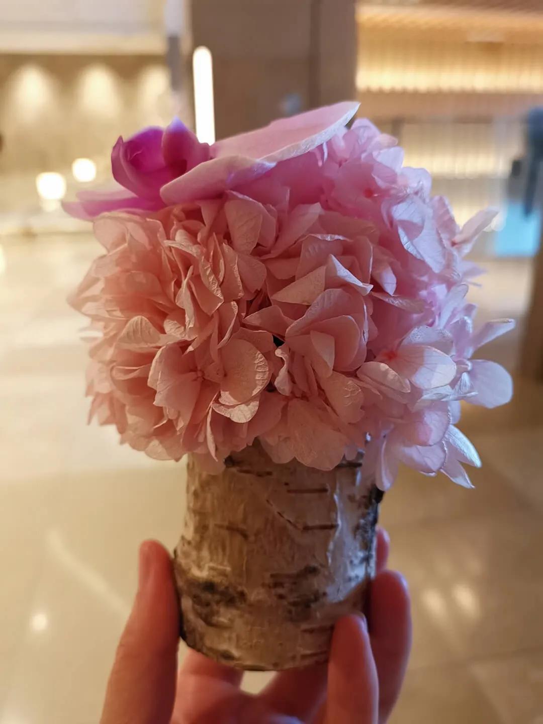 鎱㈣揪涓栫晫,鎱㈡父鍏ㄤ笘鐣岀浜屽鍦ㄧ嚎瑙傜湅