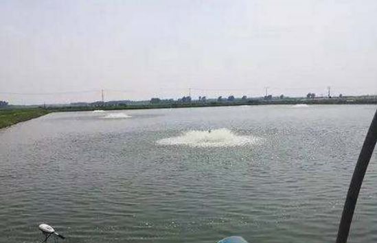 大量食用亚硝酸盐还能救得回来吗,如何避免或减少亚硝酸盐