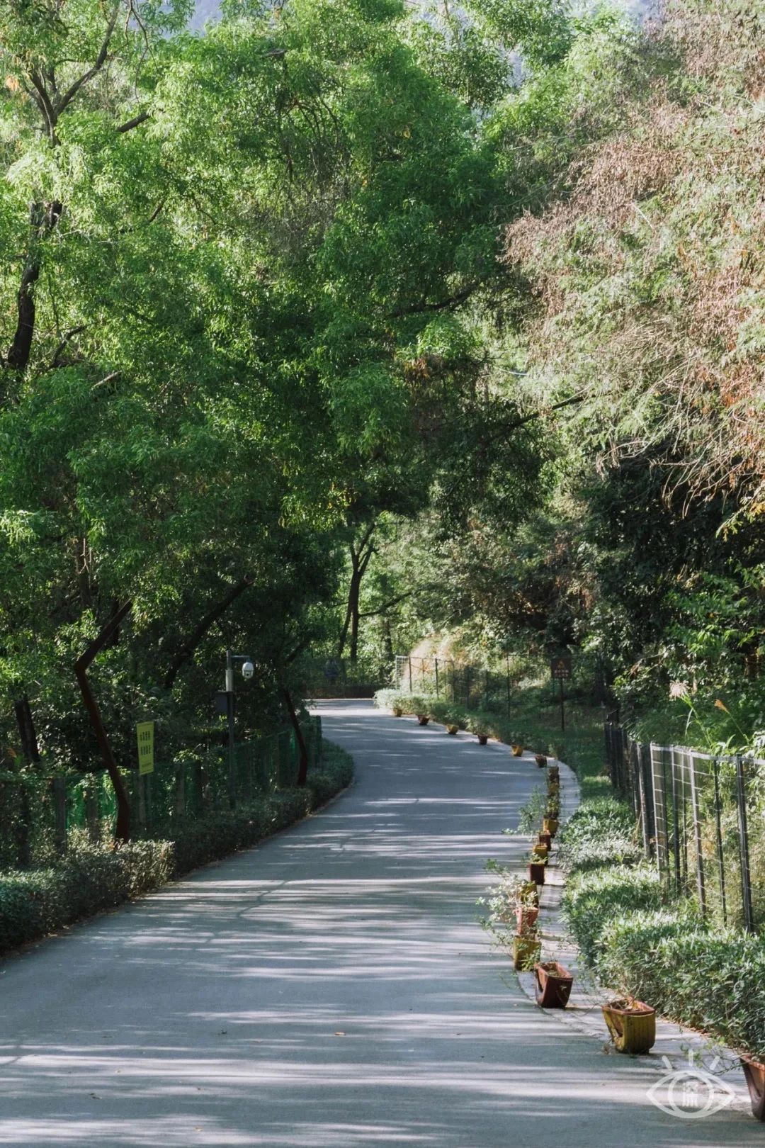 放假在深圳能去哪里玩,放假了可以去深圳的哪些地方玩