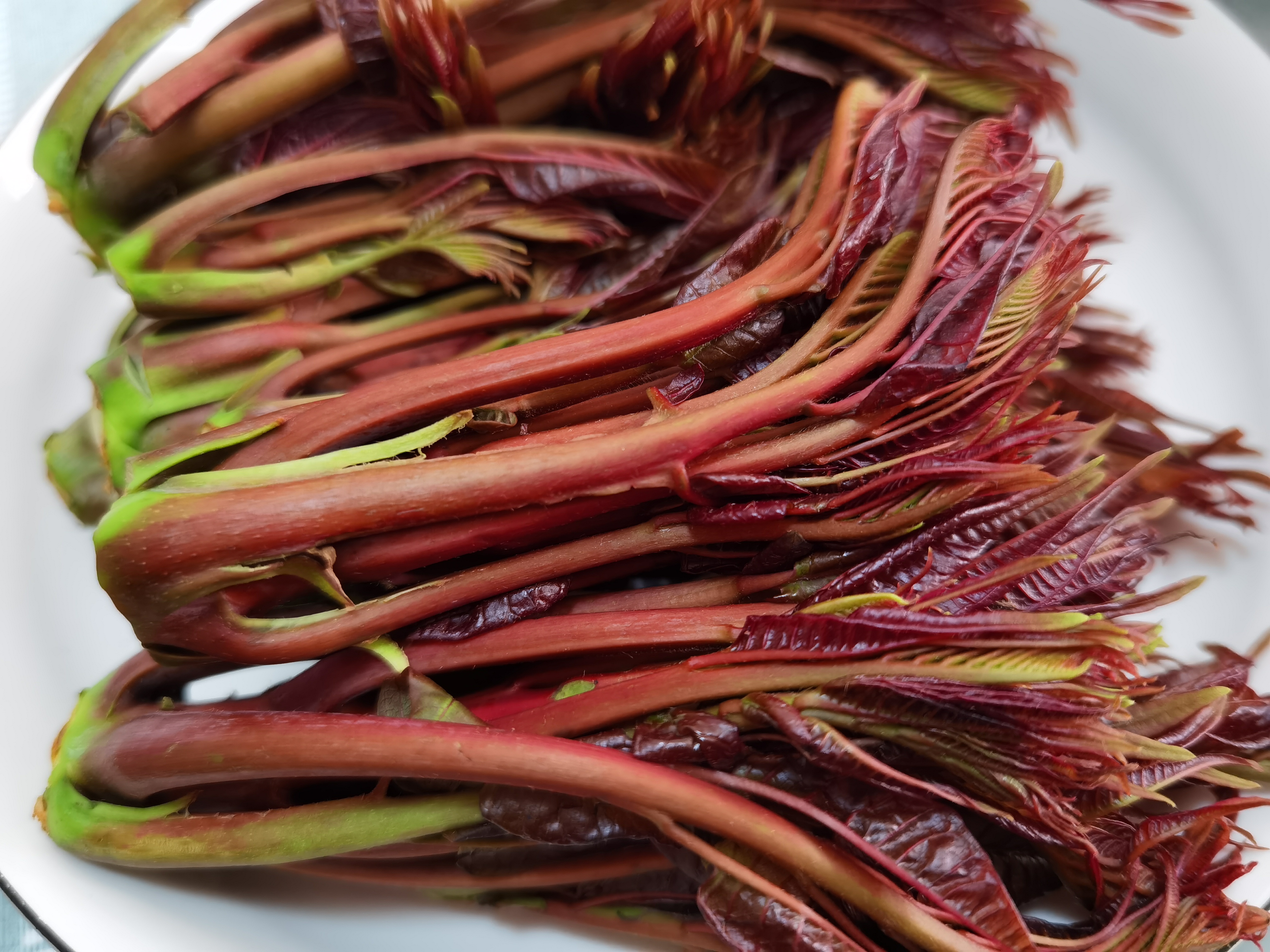 吃香椿有什么好处怎么吃最好,春天吃香椿芽的功效与作用