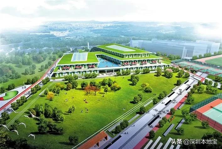 深圳大湾区未来5年的发展,深圳经济特区宝安