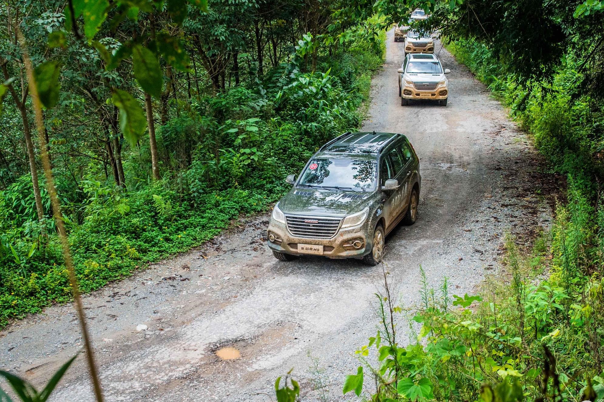 会踩刹车才叫好司机！记住这7句“口诀”，新手都能修炼成老司机
