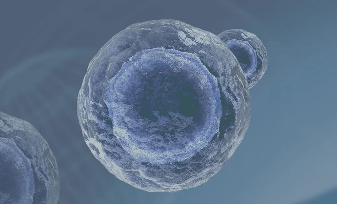 干细胞治疗脑中风后遗症最新消息,干细胞治疗脑中风多长时间有效啊