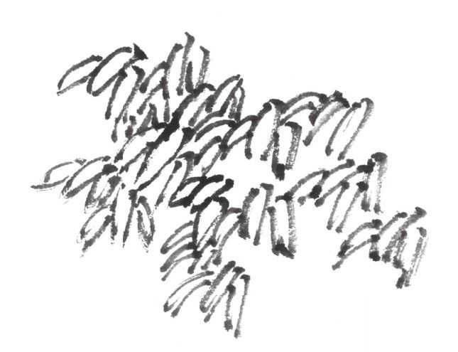 树画简单初学者教程,树画不好看了怎么改