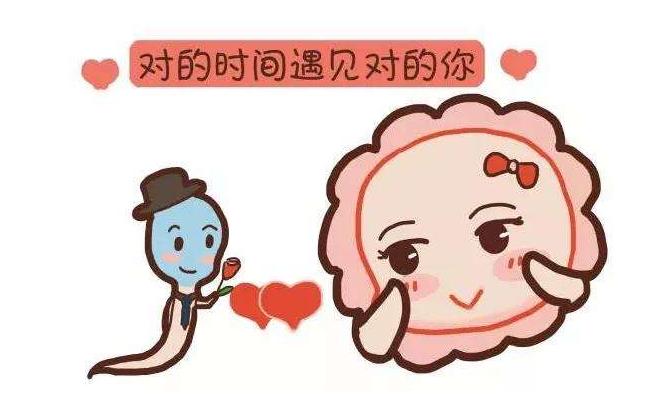 如何利用排卵期顺利怀孕,好妈妈28天训练营课程