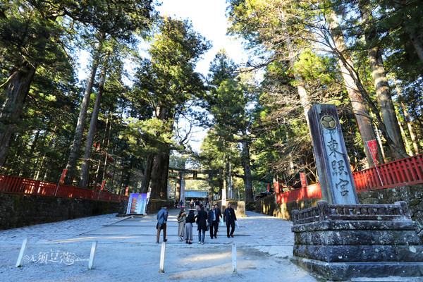 冬日乐趣排行,东京冬季旅游攻略一日游