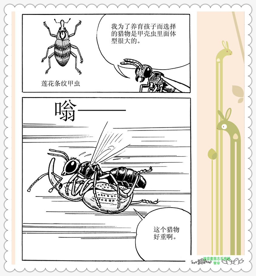 昆虫记法布尔动画片,昆虫记法布尔全套