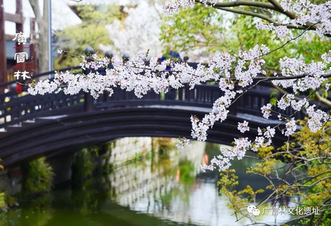 松江区夏日游玩攻略,松江古镇旅游攻略一日游