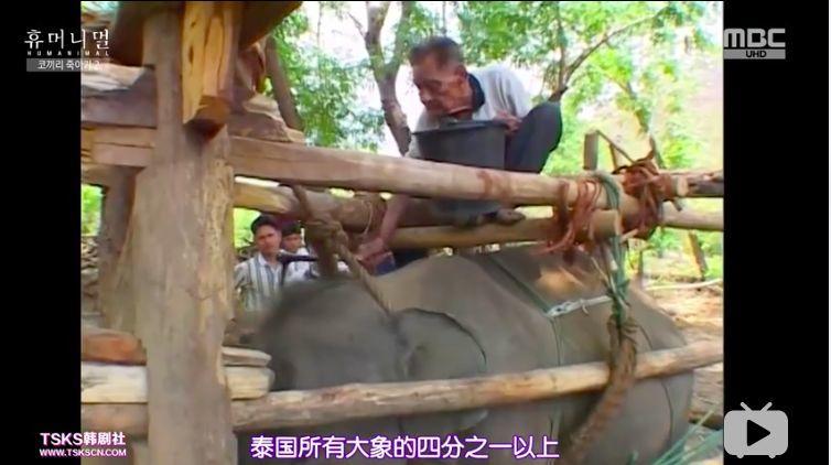 9.4分韩国催泪电视剧,韩国十部9.5评分催泪电影