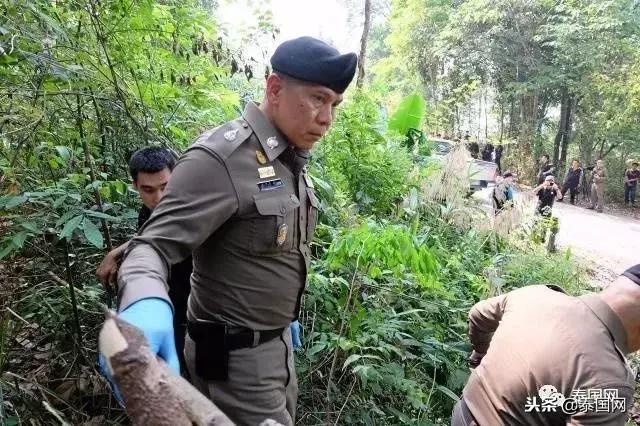 泰国打击象牙交易见成效，被CITES移出严重国家名单