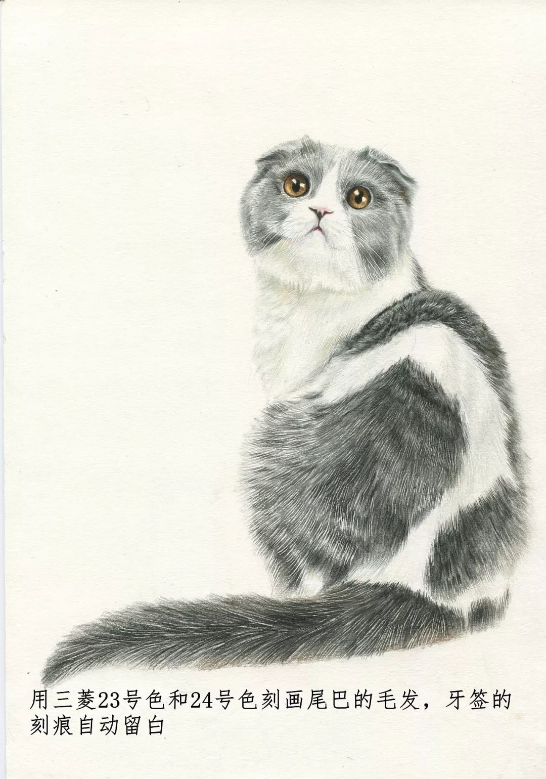 素描动物最全的收集,精微素描动物临摹高清大图