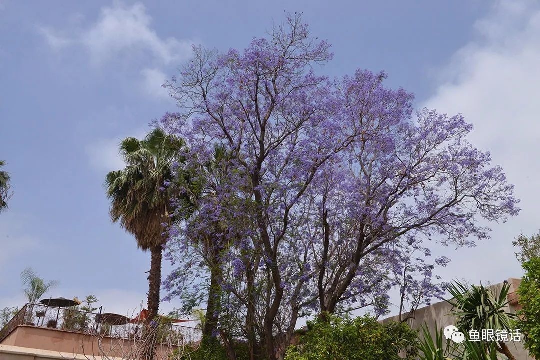 仔细看一看：包容的力量到底有多大？