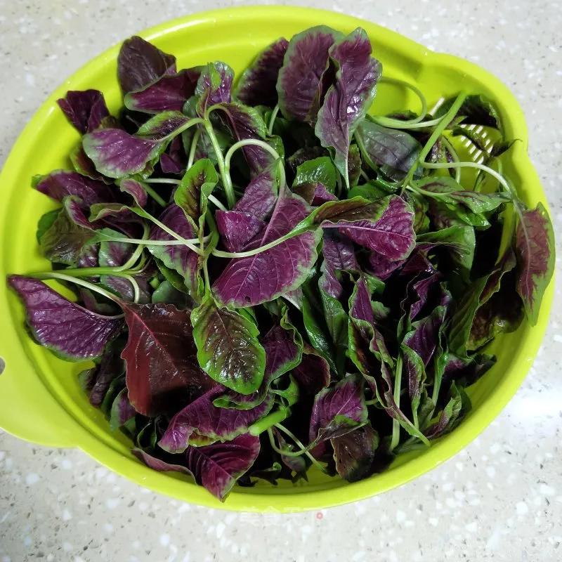 一两苋菜一两金啥意思,半斤苋菜含多少草酸