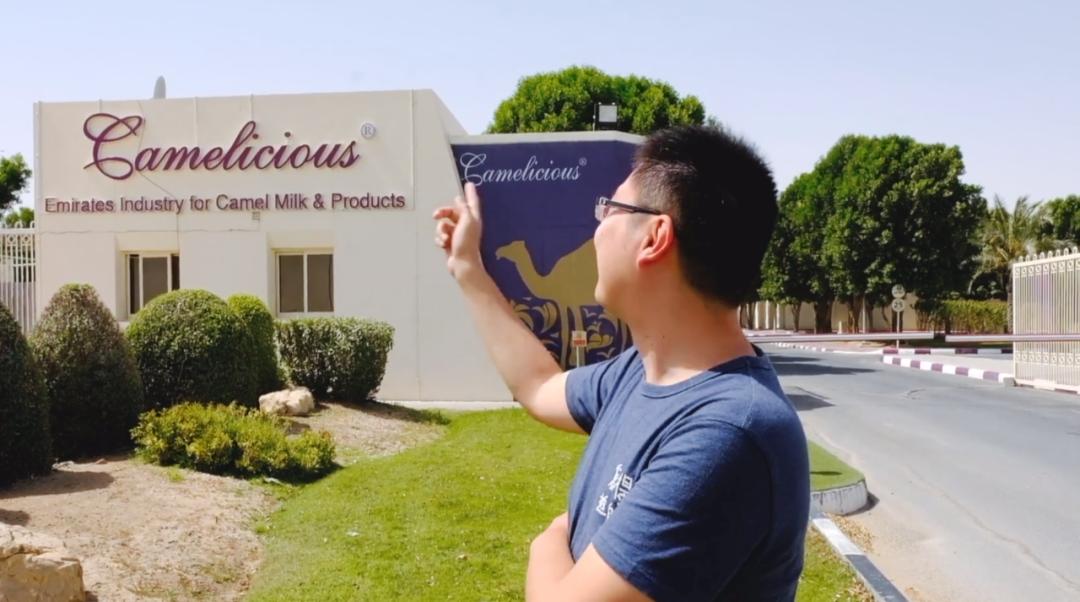 鎴戝湪杩嫓鍘熺増瑙嗛,杩嫓鐨勮禌楠嗛┘