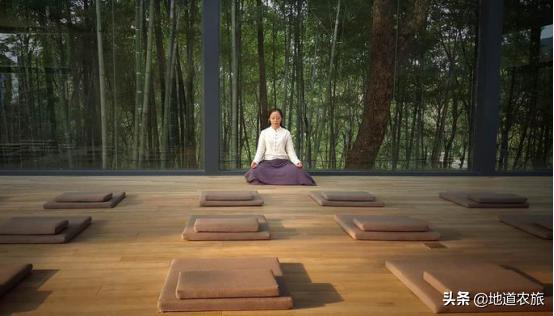 中草药赚钱项目有哪些,中草药康养项目