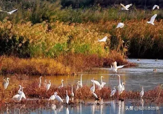 超详细！在福州再也不怕找不到路了！这条微信值得收藏