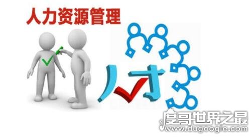 女生最吃香的十大职业大专,大专女生吃香的十大职业