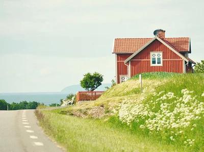 你的名字我不愿再提起,你的名字我不曾忘记