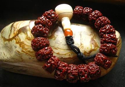 菩提子种类图片哪一种菩提最好,菩提种类的寓意和象征