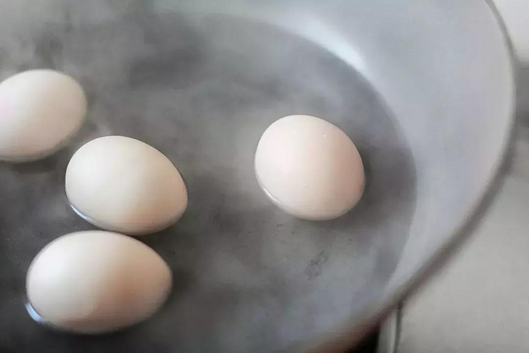 过夜的剩鸡肉怎么煮好吃点,吃剩的鸡肉放冰箱多久会坏