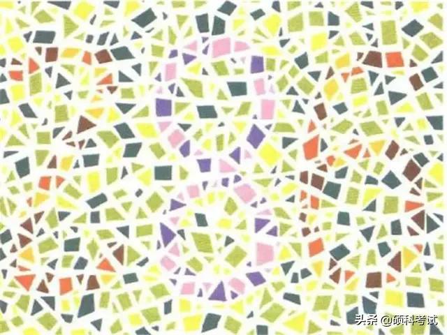 考驾驶证体检色盲识别图必考,报驾照色盲检查图是固定的吗