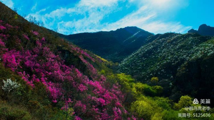 赤峰日报蒙古文,赤峰日报2005
