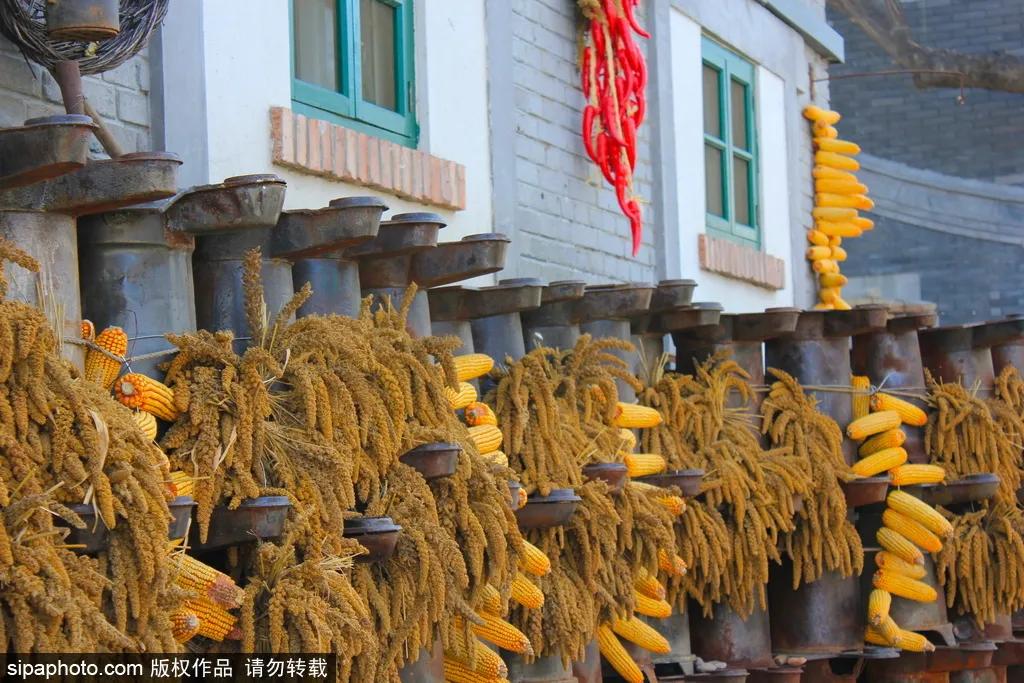 安排一日游攻略,安排旅游必去景点