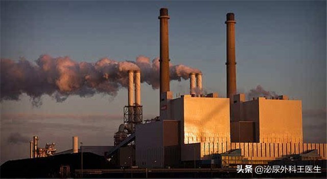 如何科学提升精子质量？