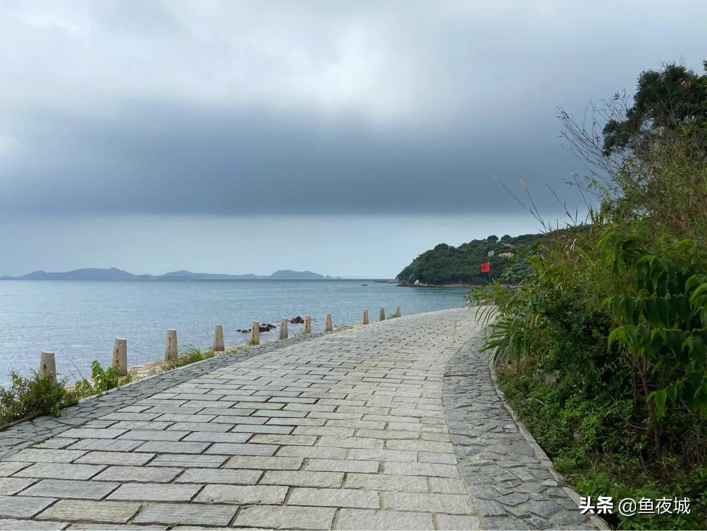 自媒体在哪个平台收益最好,自媒体平台视频收益排行榜