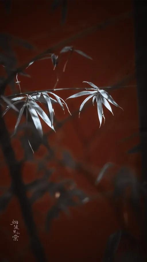 灞辨湁鎵惰嫃闅版湁鑽峰崕涓嶈瀛愰兘,灞辨湁鎵惰嫃闅版湁鑽峰崕