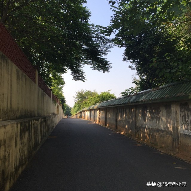 福建厦门十大旅游景点,福建厦门旅游十大必去景区