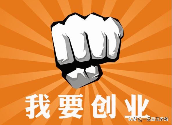 什么样的人最适合自己创业,适合穷人养殖创业都有哪些行业