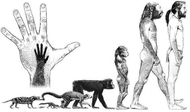 我们人类怎么样诞生,我们人类是如何产生的呢