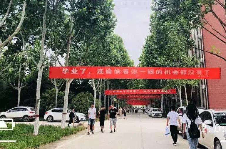 高校走心毕业季标语惹哭网友,毕业季校园里这些横幅看哭了