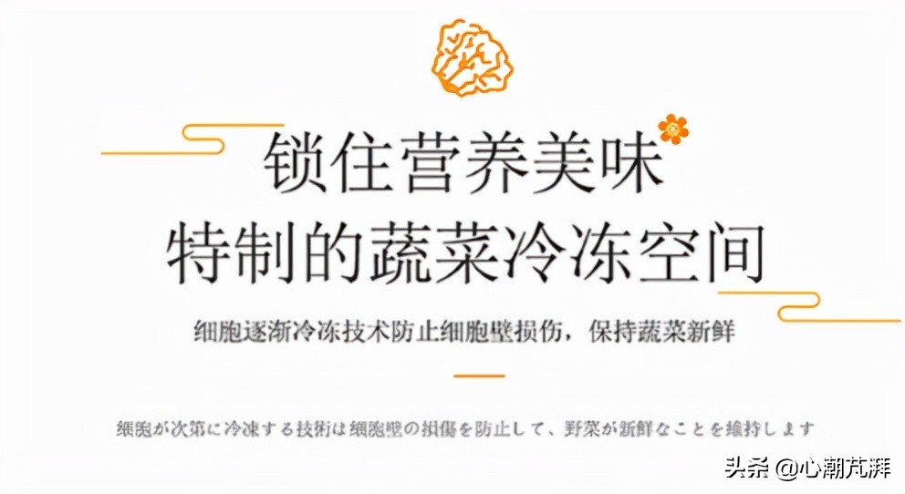 日系冰箱与德系冰箱哪个好,日系德系冰箱对比