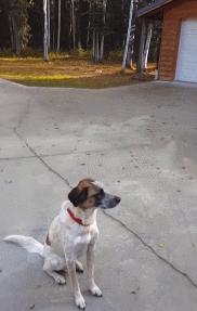 第一次人机大战电影,第一次人机战争