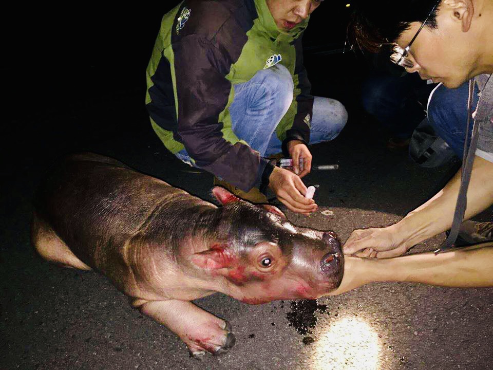 朵拉爱萌全部视频,朵拉爱萌3岁