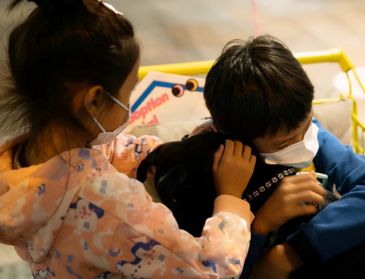 孙俪带孩子摆摊被质疑,不到4小时收入过万,什么本子价值268?