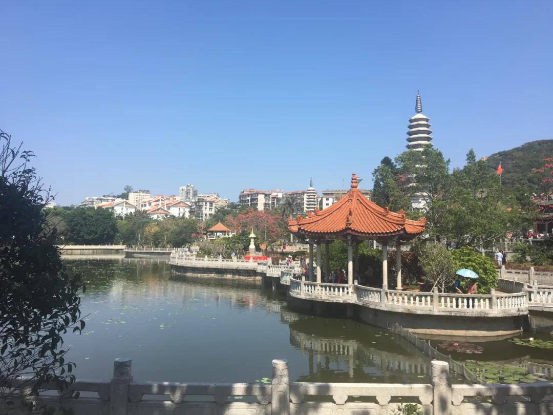 厦门最全旅游攻略！最不推荐吃住在曾厝垵，和农贸集市差不多