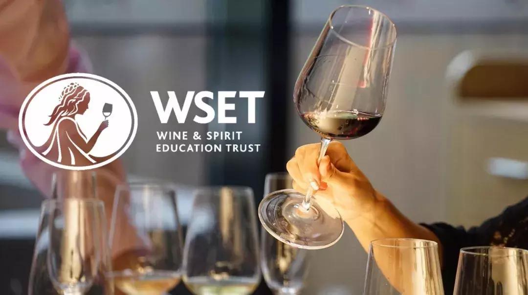 葡萄酒爱好者最欢迎的WSET中级课程来了，5月开课！