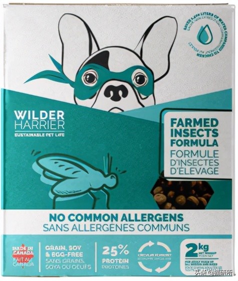 猫咪可以喂自制猫粮吗,用虫子做的食物