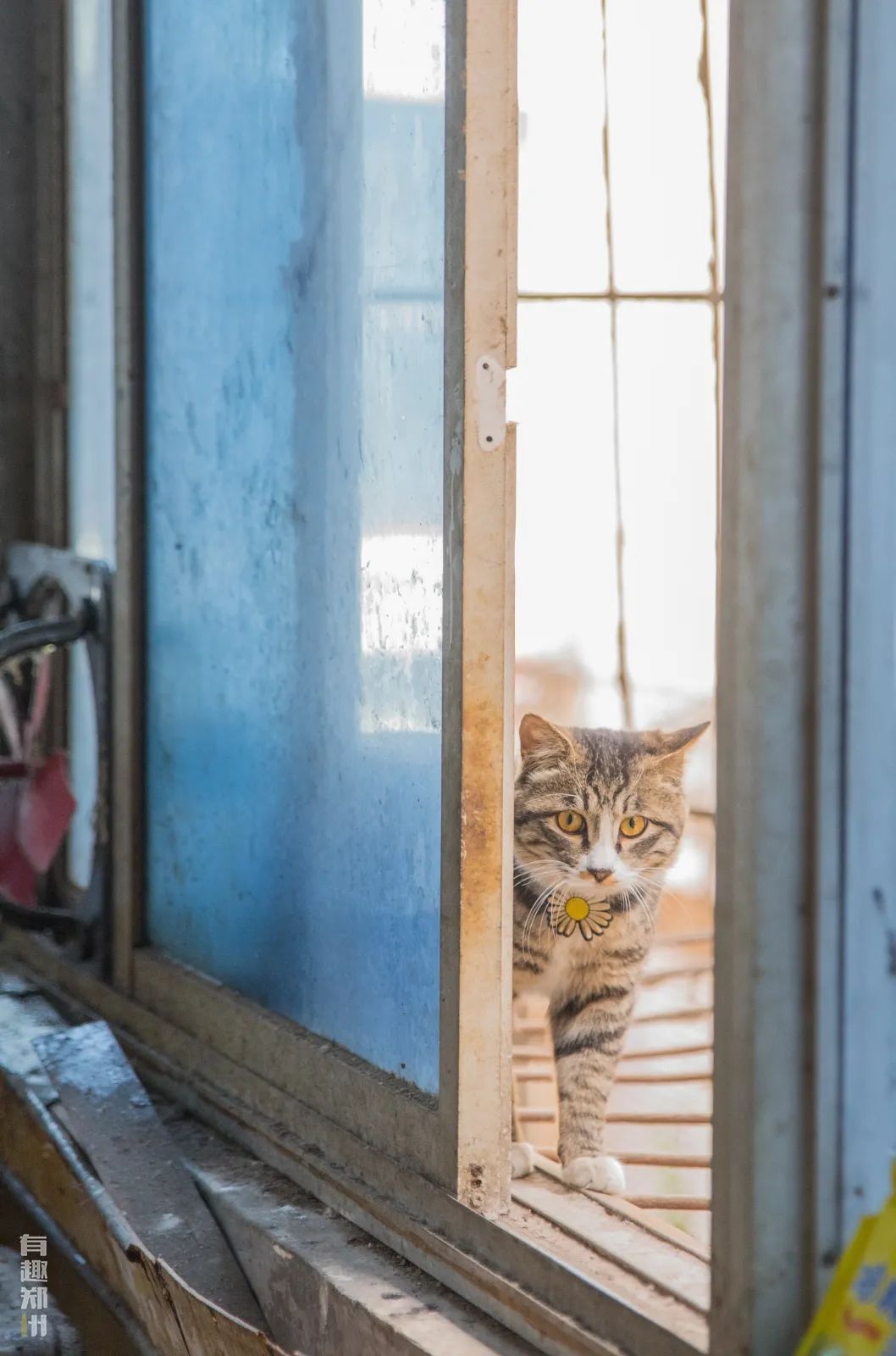 郑州弓背街与上元街,郑州弓背街