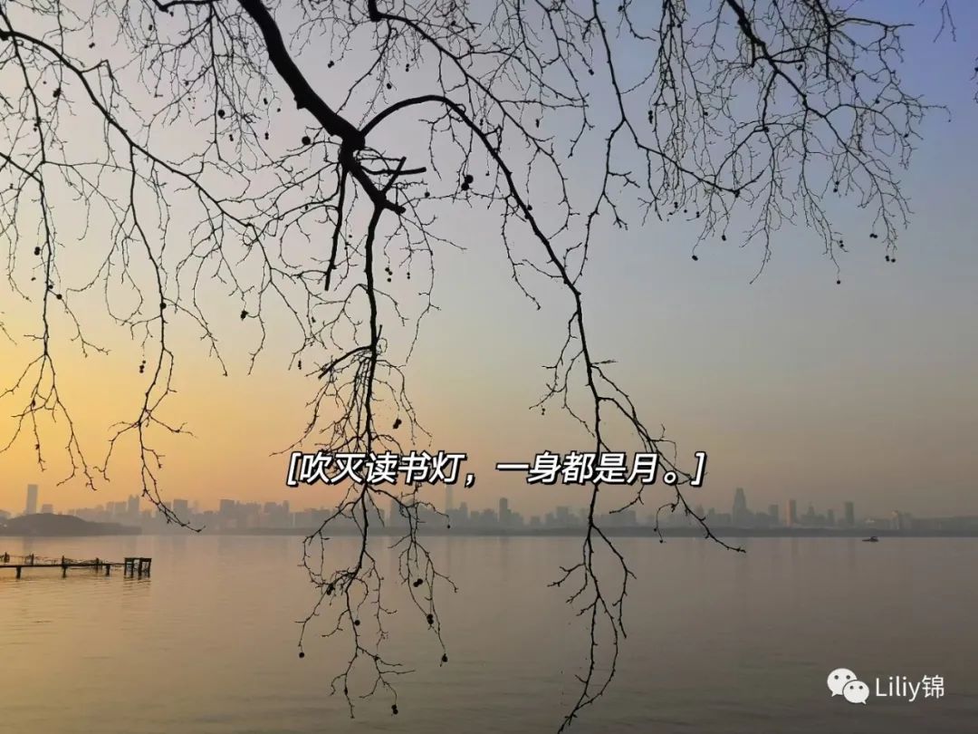 双十一购物英语感受,双十一购物感悟