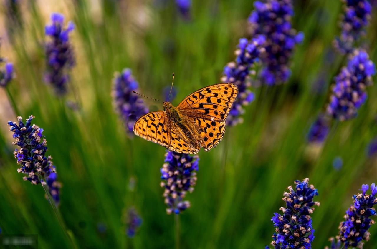 带你走进浪漫清远,感受不一样的历史情怀