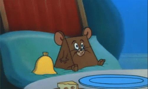 入门级芝士推荐,用正确的姿势涨芝士