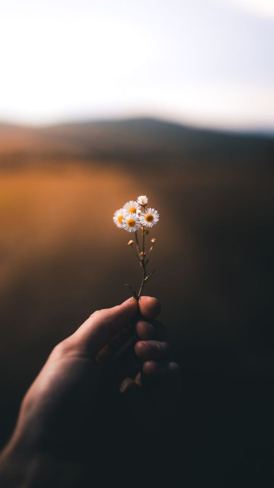 改掉所有的坏习惯,改掉哪几个坏习惯可以不长痘